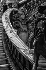 DSC_4762-1000-Staircase BW